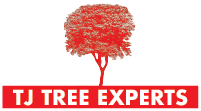 TJ Tree Experts